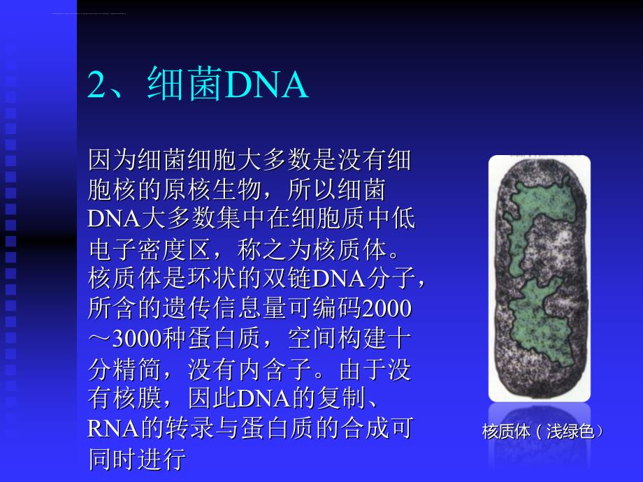 细菌DNA的提取和纯化课件_第3页