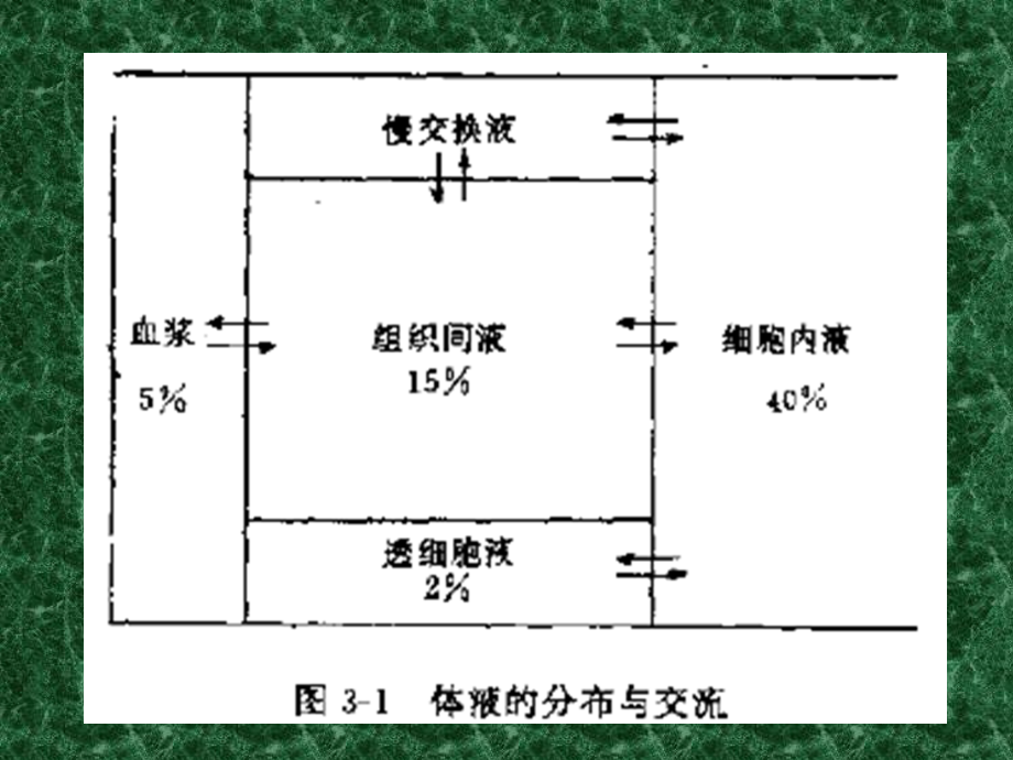 外科病人的体液失调BodyFluidImbalanceofSurgicalPatientsP讲解学习_第4页