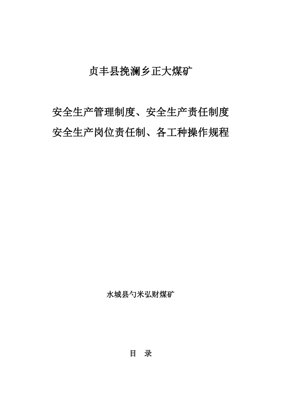 企业管理制度某煤矿安全生产管理制度范本_第1页