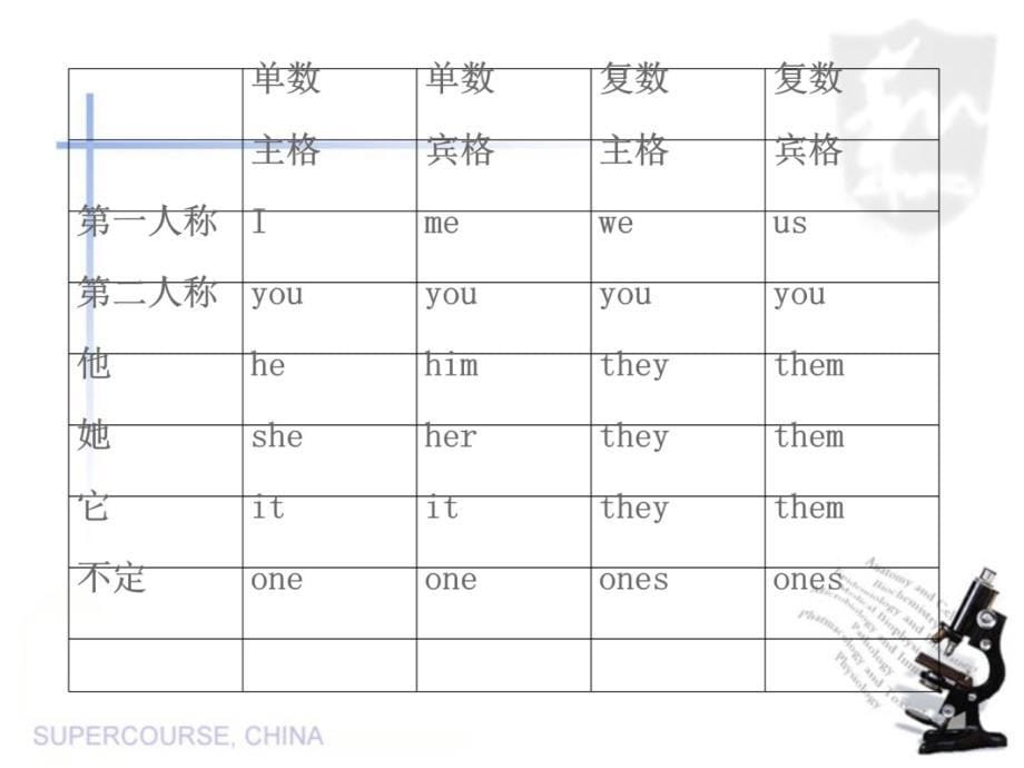 豌豆语法12实词1幻灯片课件_第5页