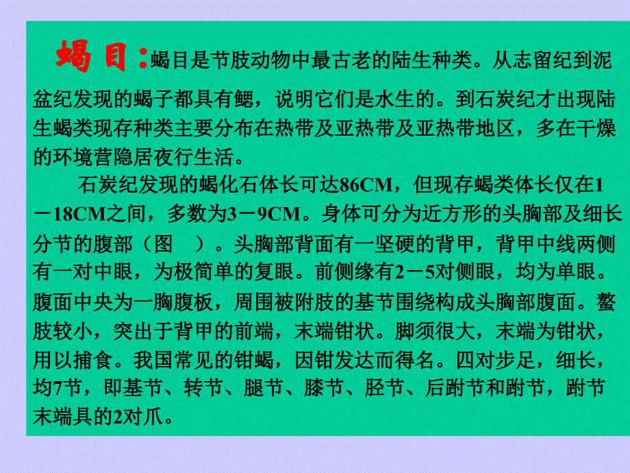 蛛形纲分类备课讲稿_第4页