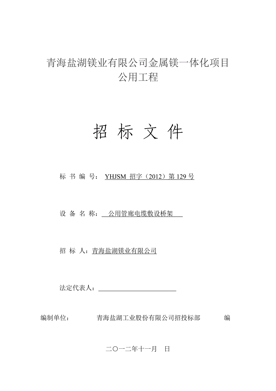 (2020年)标书投标某公司金属镁体化项目公用工程招标文件_第1页