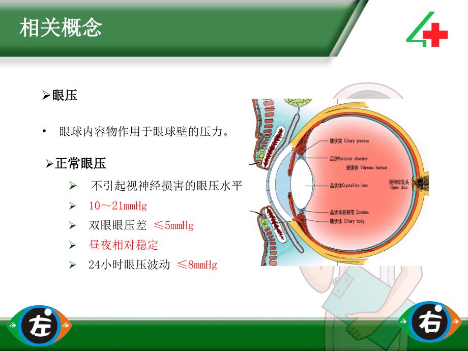 非接触式眼压测量操作流程图_第2页