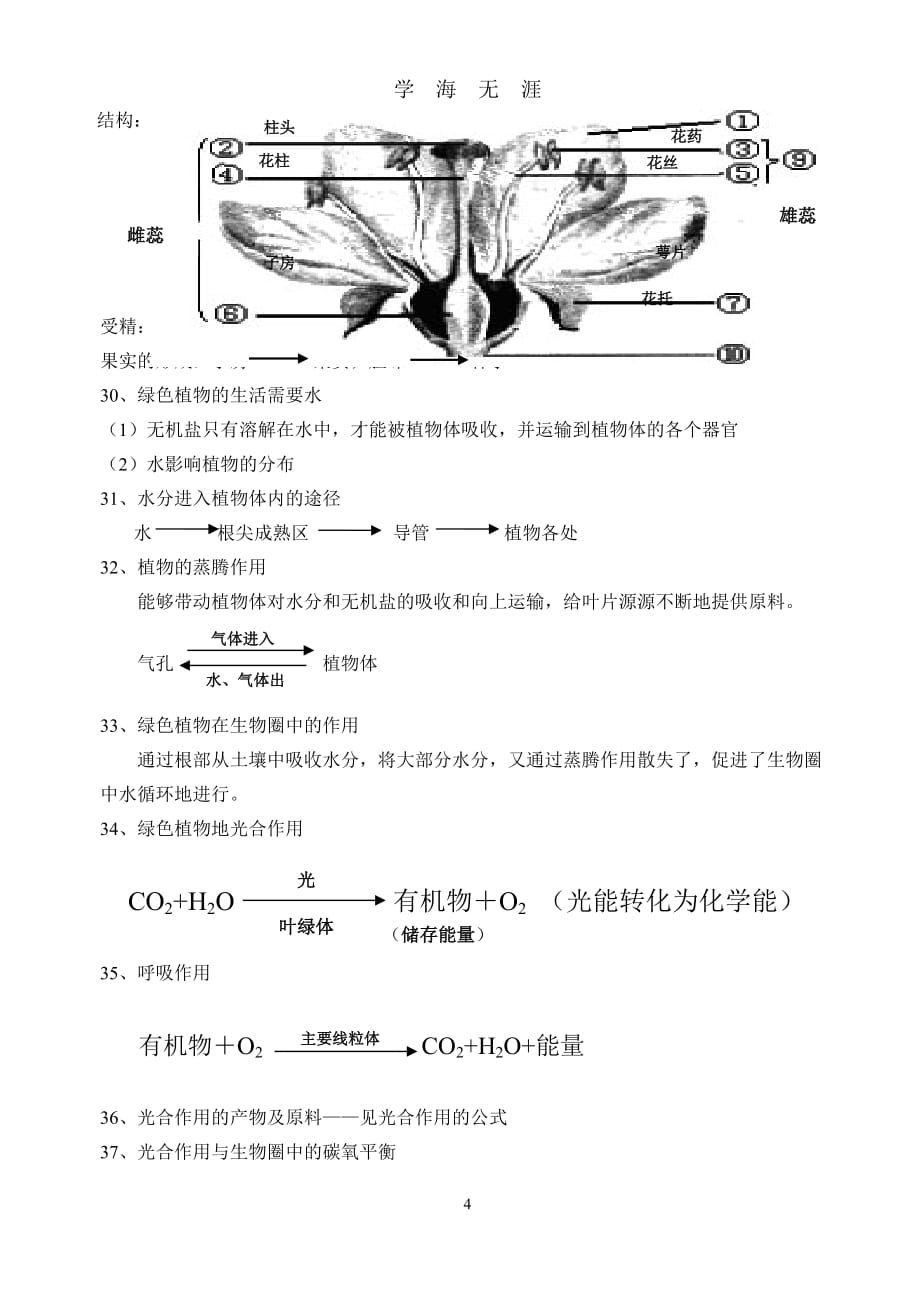 （2020年整理）新人教版七年级生物上册知识点总结.doc_第4页