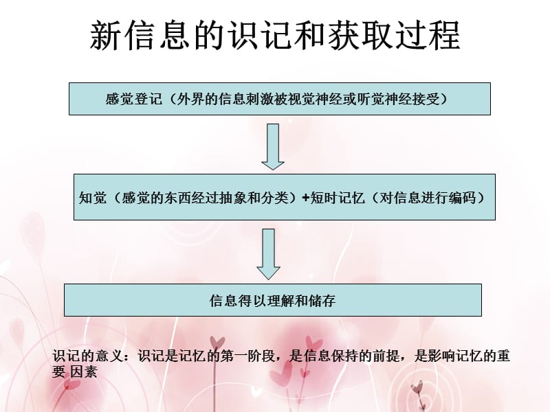 识记信息的获得也就是信息的输入和编码过程复习课程_第2页