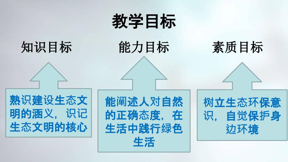 2018版12专题建设美丽中国[优质ppt][45页]_第4页