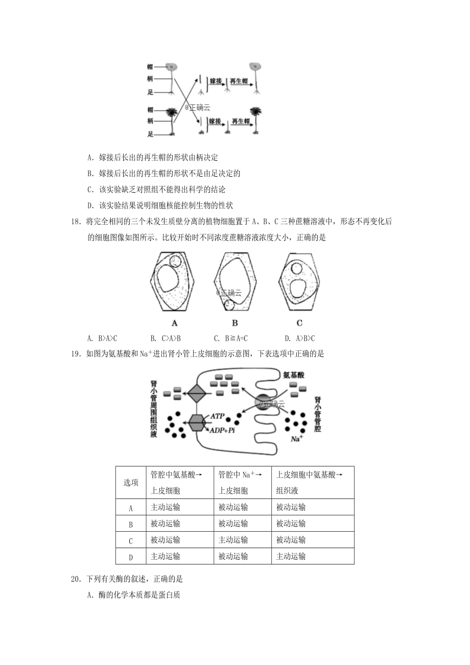 四川省遂宁市第二中学2019-2020学年高一生物上学期期末考试试题【含答案】_第4页