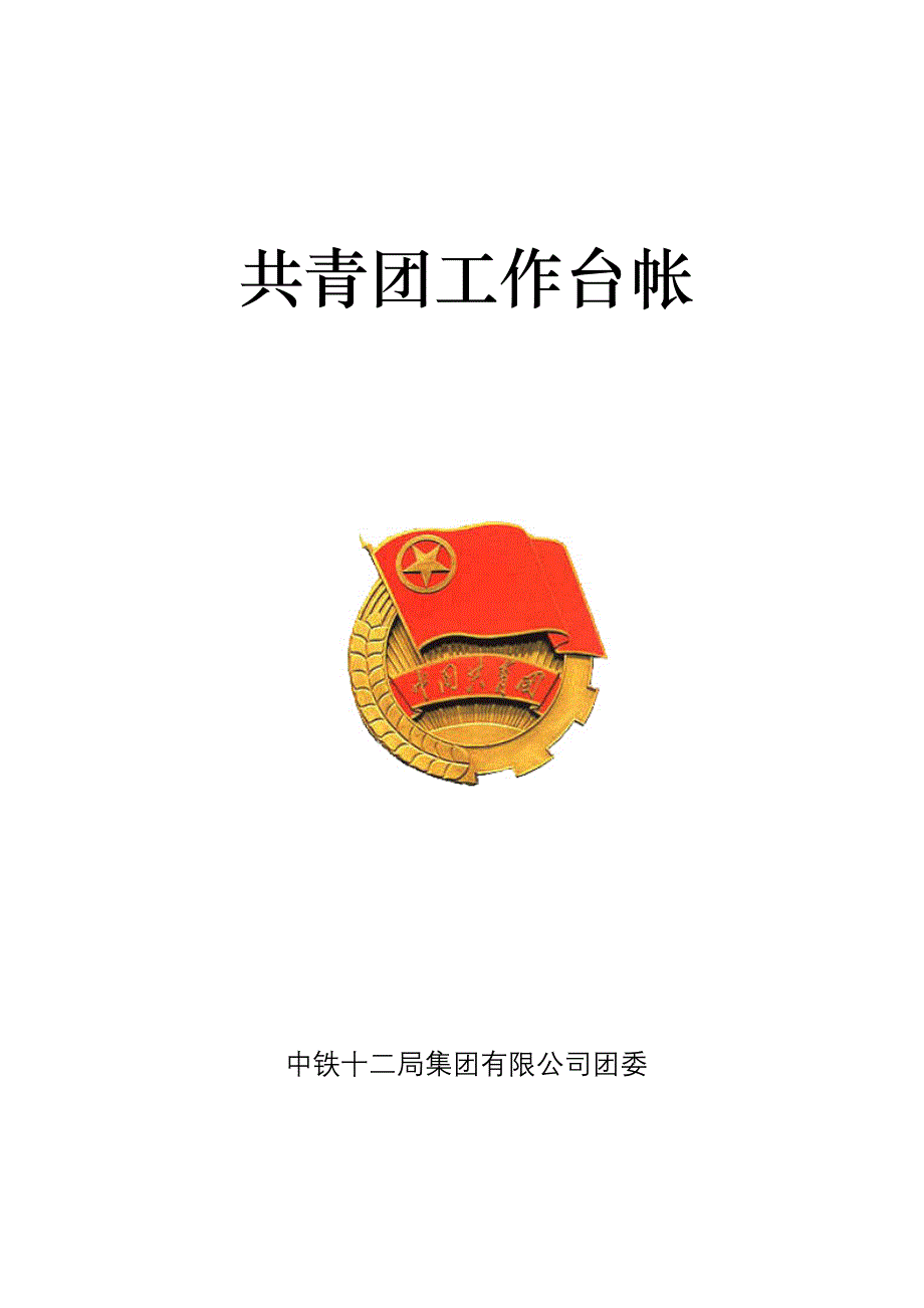 企业组织设计基层团组织工作台帐_第1页