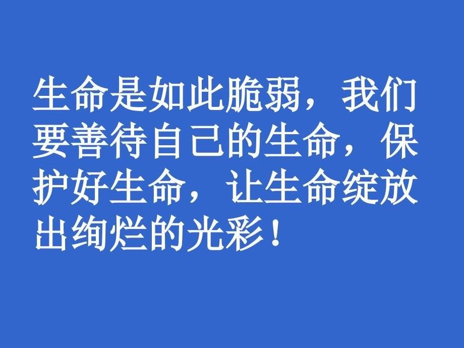 四年级 “珍爱生命__阳光成长”主题班会_第5页