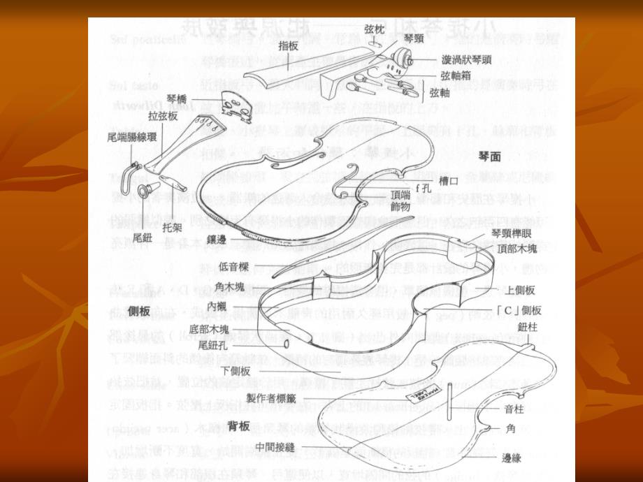 深情之美中提琴音乐欣赏培训讲学_第3页