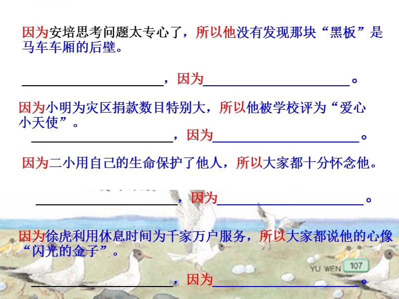 鸟岛第二课时课件_第4页