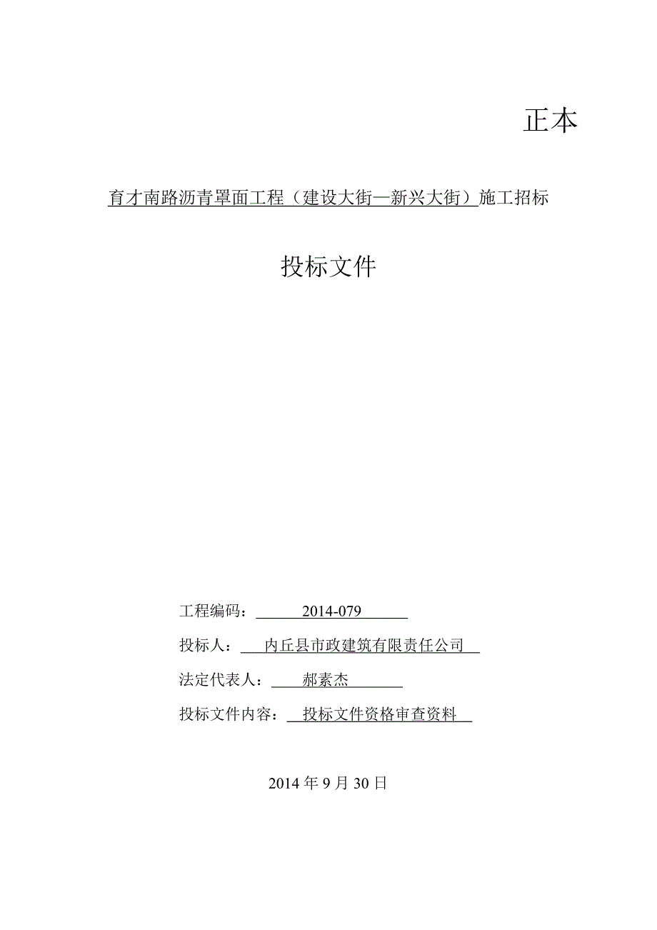 (2020年)标书投标道路排水投标文件_第1页