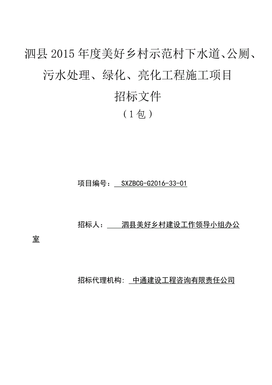 (2020年)标书投标美好乡村包招标文件修改_第1页