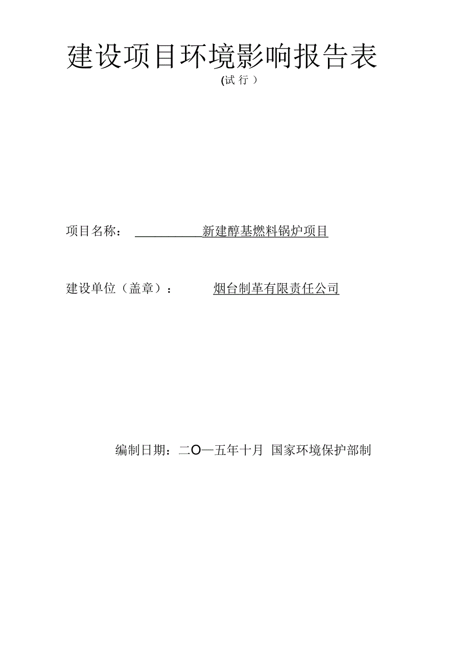 项目管理项目报告烟台制革新建醇基燃料锅炉项目_第1页