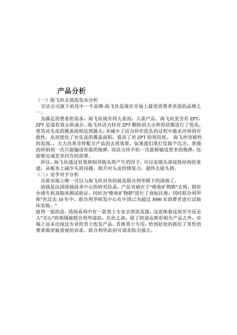 营销策划方案保洁公司广告策划案范本_第5页