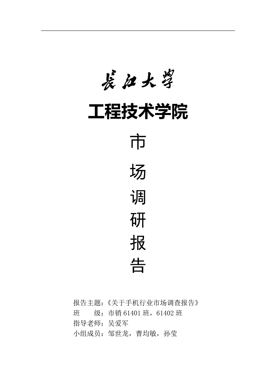 (2020年)行业分析报告手机行业市场调查报告_第1页