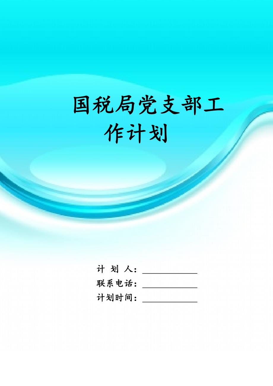 国税局党支部工作计划_第1页