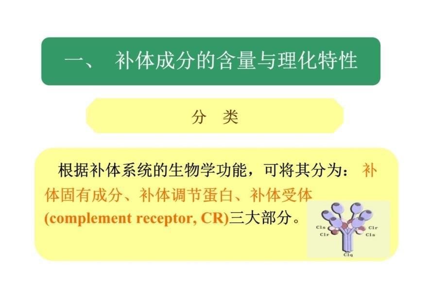 第十九部分补体检测及应用教学课件教学教材_第5页