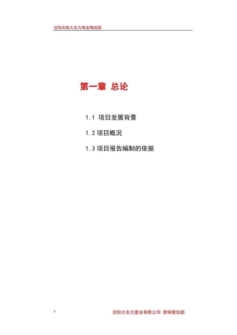 项目管理项目报告东北光彩大东方商业建材综合性商业中心项目建议书范本_第5页