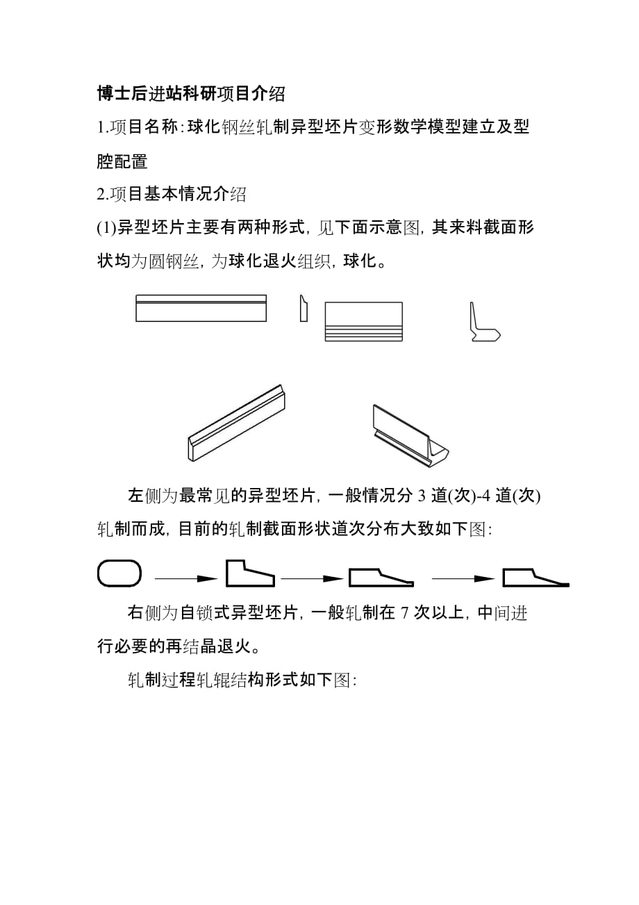 项目管理项目报告球化钢丝轧制异型胚片变形数学模型建立及型腔项目介绍_第1页