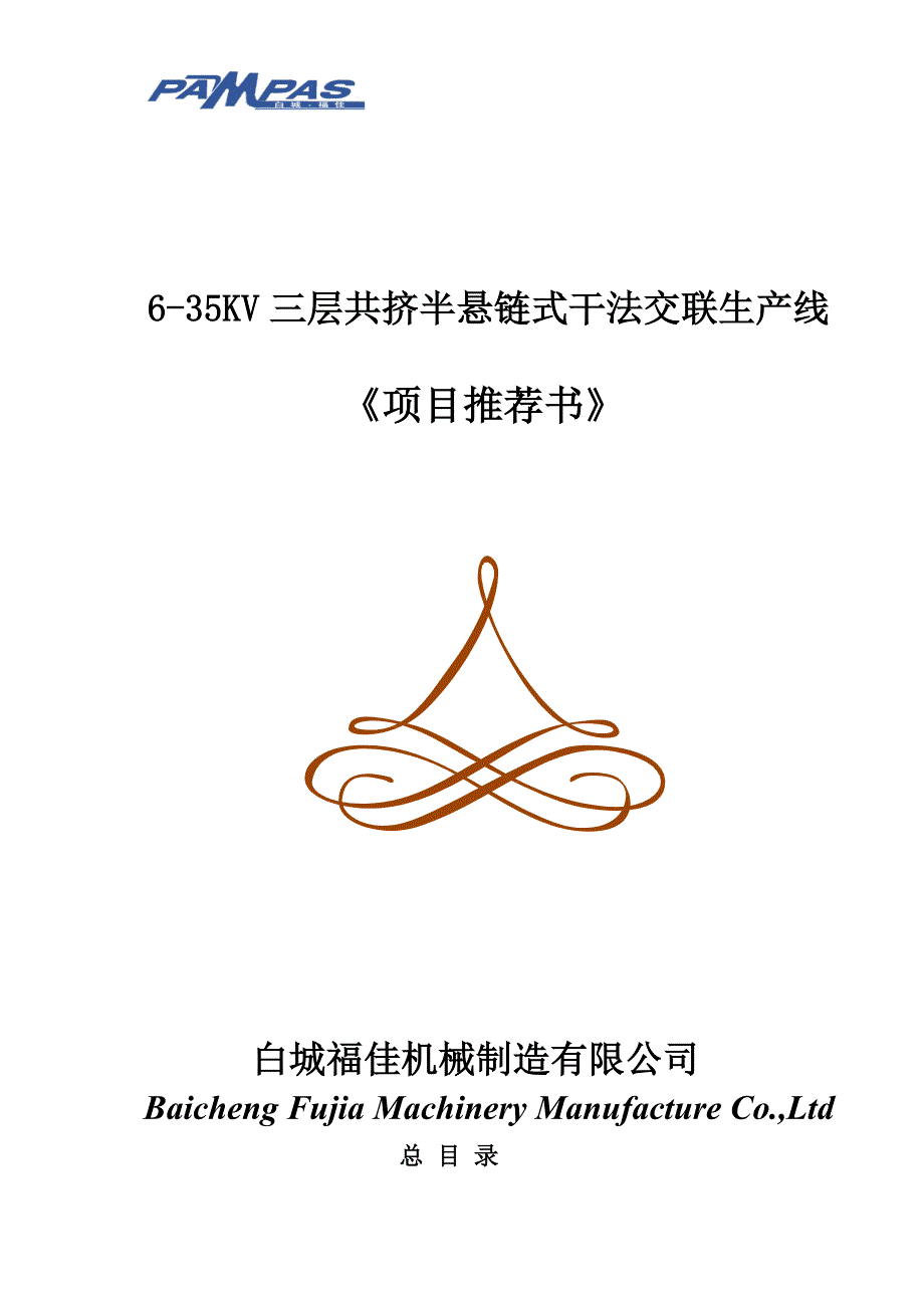 项目管理项目报告三层共挤半悬链式干法交联生产线项目推荐书_第1页