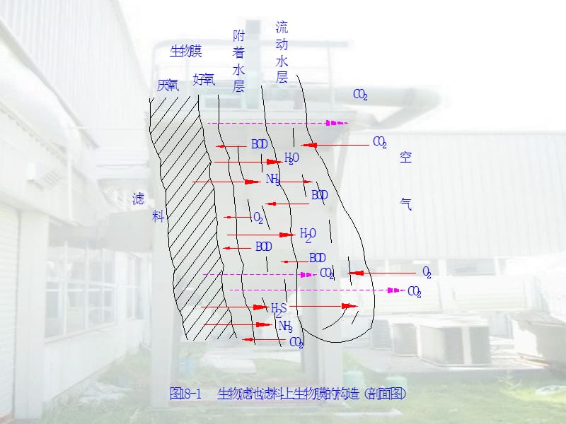 32曝气生物滤池下载培训讲学_第4页