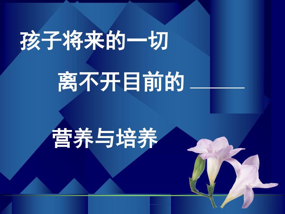 3-6岁儿童营养与饮食行为培育 演示教学_第4页