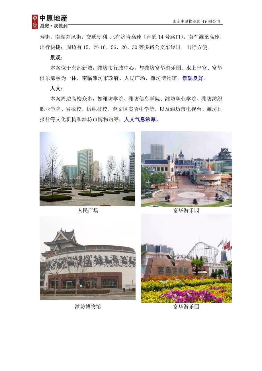 项目管理项目报告中原潍坊富华国际贸易中心项目定位报告60DOC_第5页