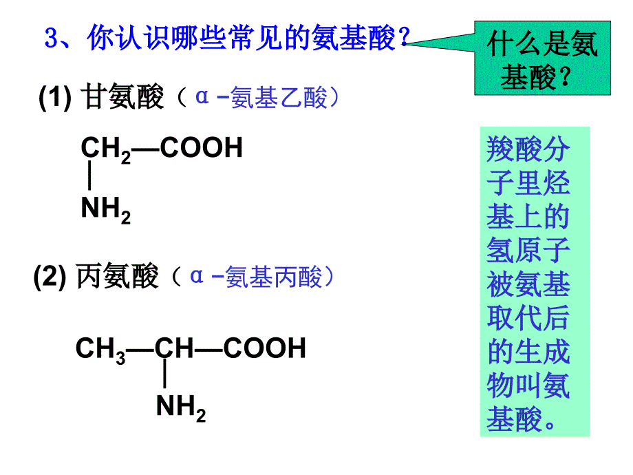 高中生物选修五氨基酸蛋白质课件_第2页