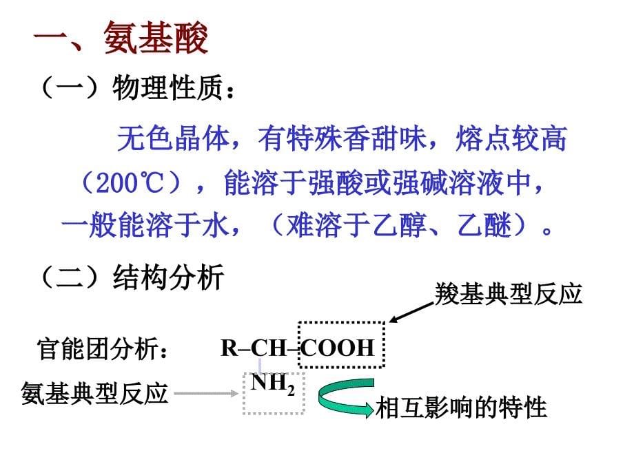 高中生物选修五氨基酸蛋白质课件_第5页