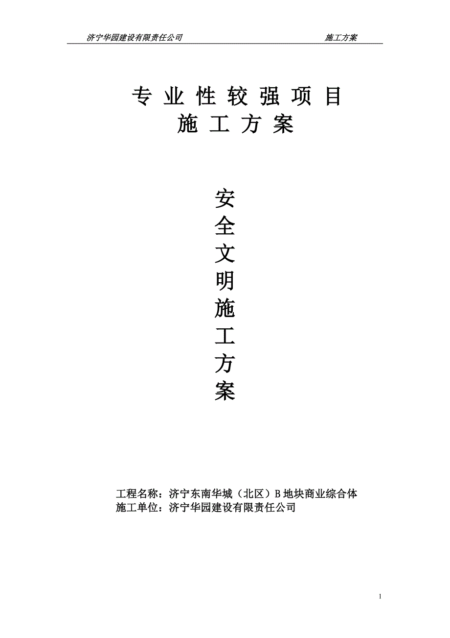 项目管理项目报告专业性较强项目施工方案_第1页