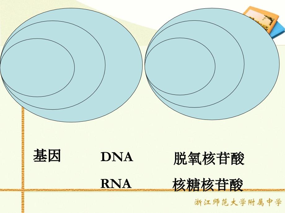 高中生物：遗传信息的表达课件_第3页