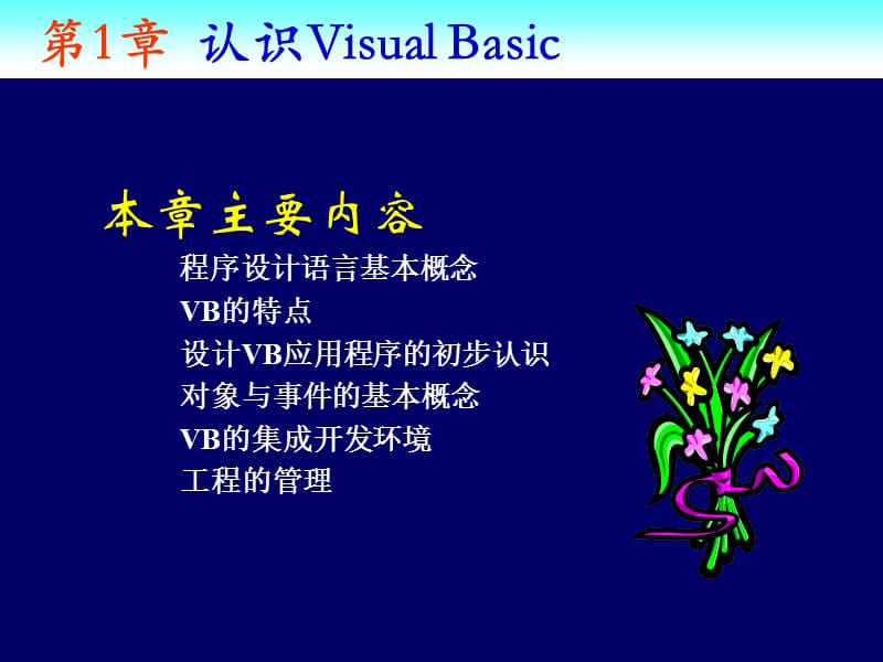 第1章认识VisualBasic讲课资料_第2页