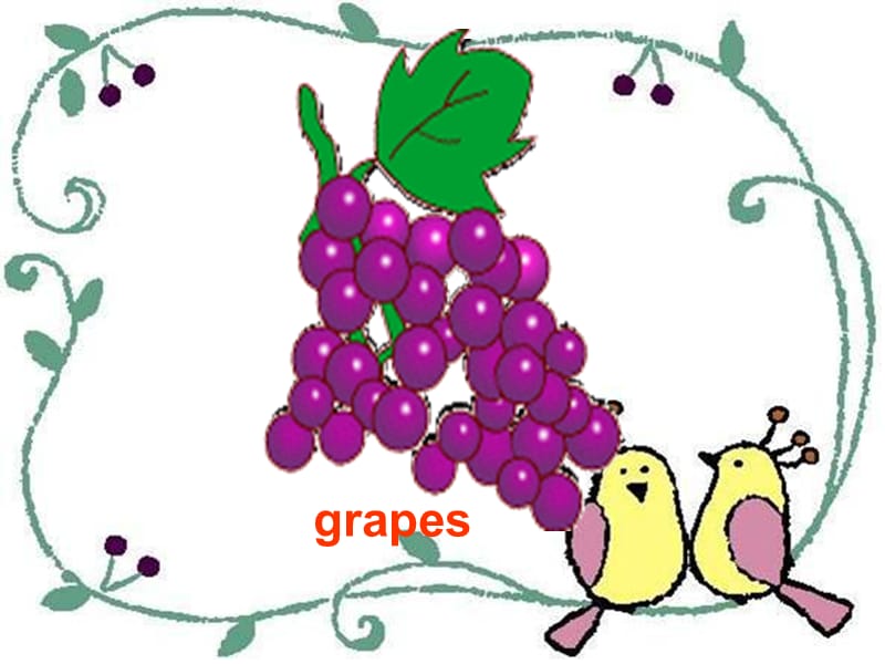 二年级下册英语课件Unit7Fruit北师大一起18_第5页