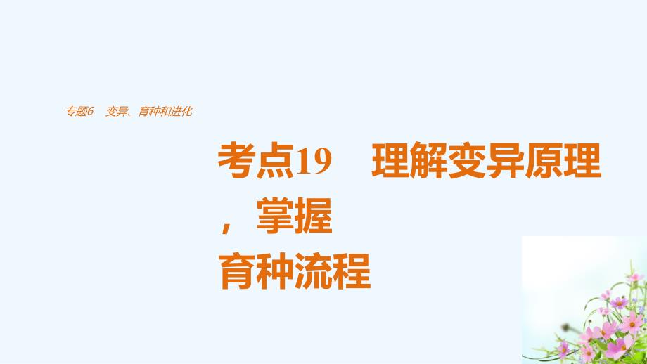 高考生物考前专题复习6-变异-育种和进化考点19　理解变异原理掌握育种流程课件_第1页