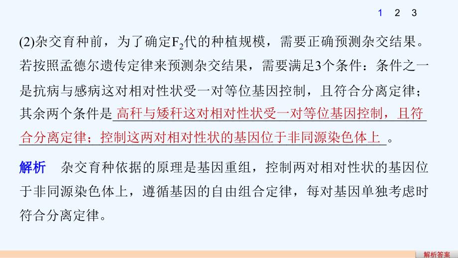 高考生物考前专题复习6-变异-育种和进化考点19　理解变异原理掌握育种流程课件_第4页