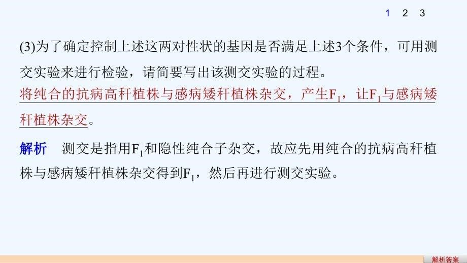 高考生物考前专题复习6-变异-育种和进化考点19　理解变异原理掌握育种流程课件_第5页