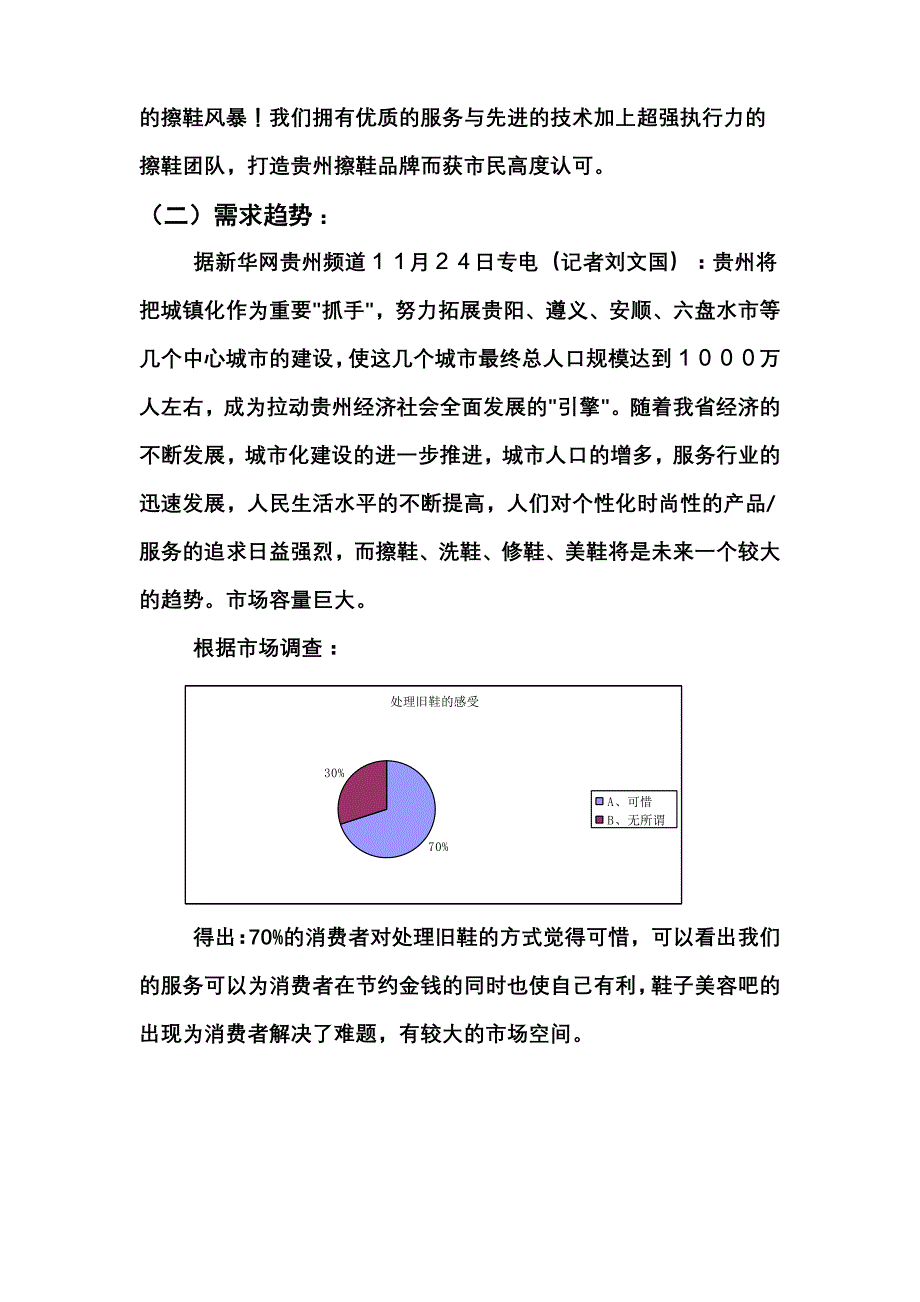 营销策划方案鞋子美容策划书文本吴万进_第3页