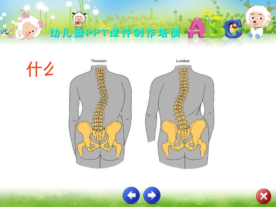 预防脊柱侧弯PPT_第4页