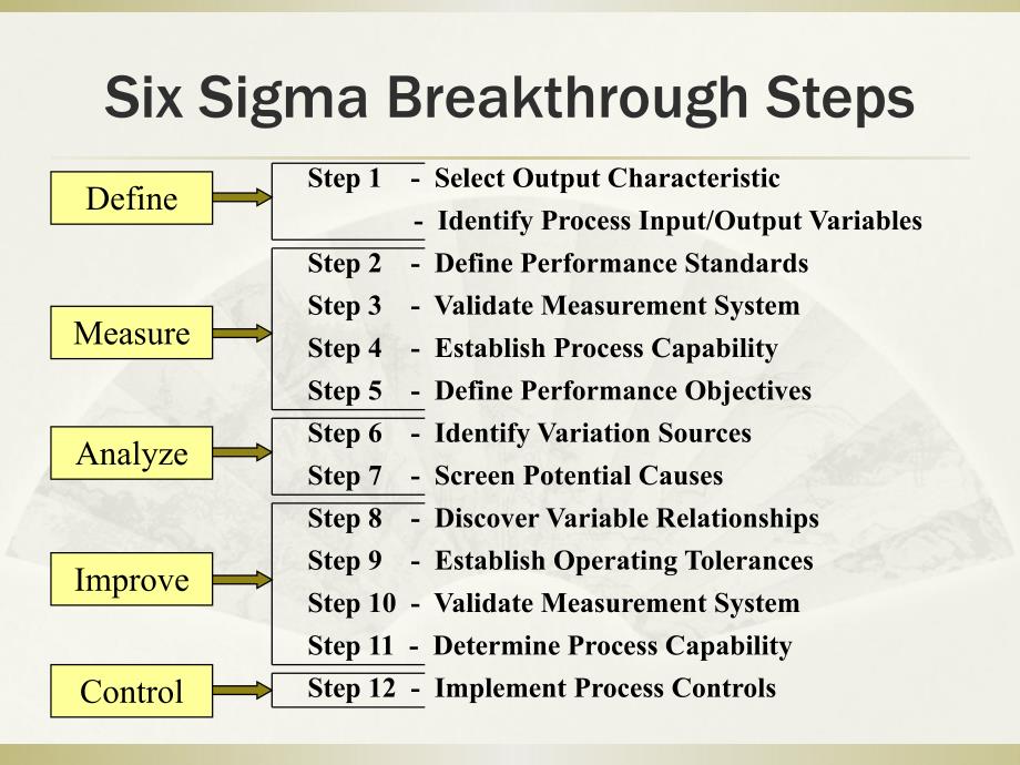 {六西格玛管理}SixSigma12Steps六西格玛的12个步骤_第4页