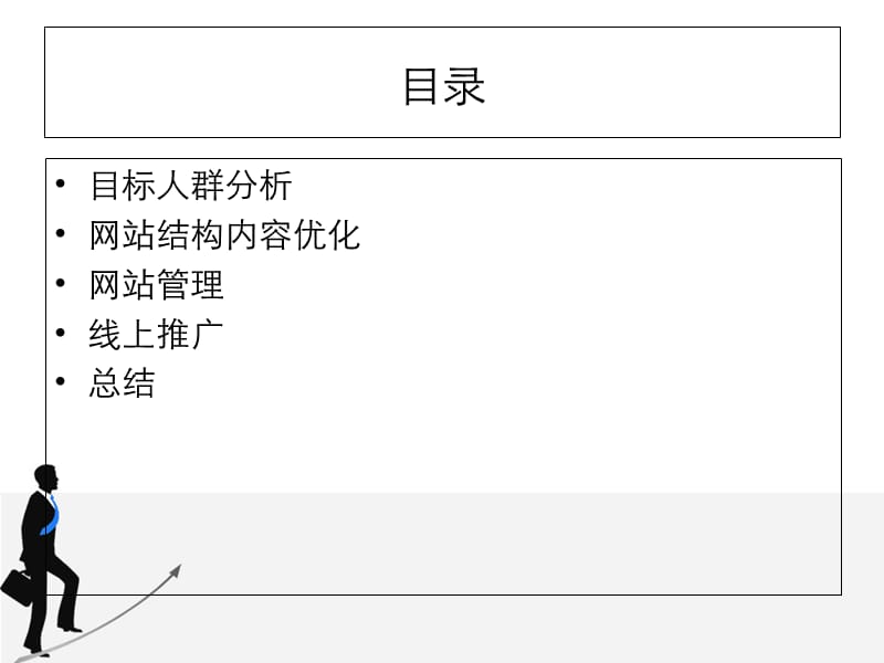 进行到底推广方案研究报告_第2页