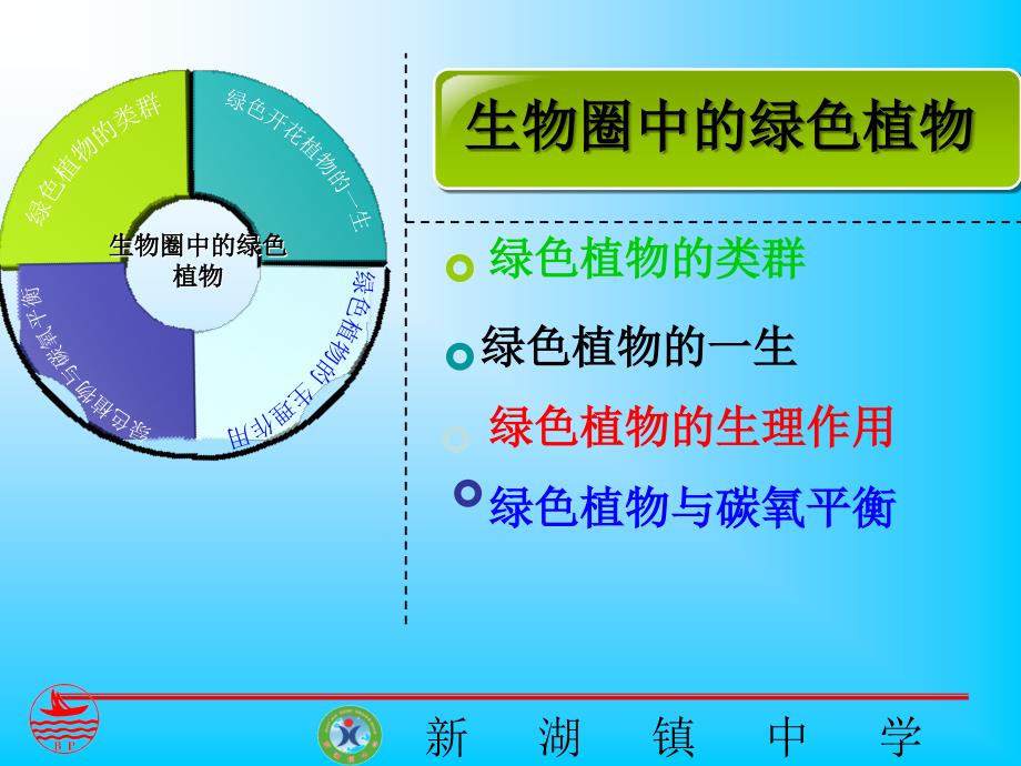 生物圈中的绿色植物 专题复习_第2页