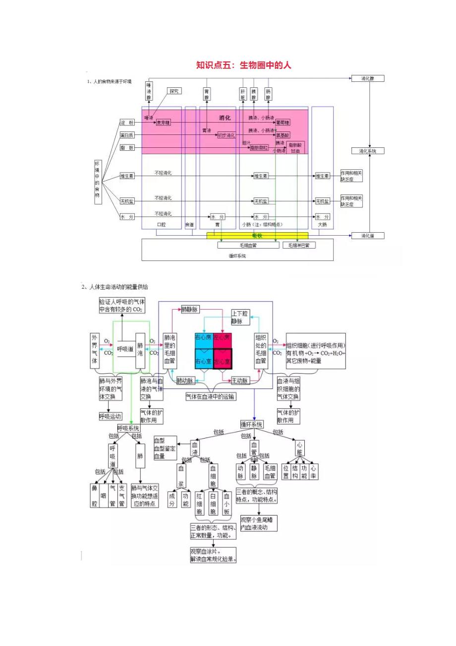 生物10大专题思维导图_第3页