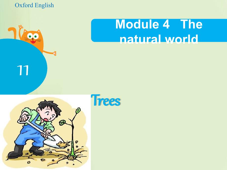 六年级上册英语课件Unit11TreesPeriod3牛津上海31_第1页