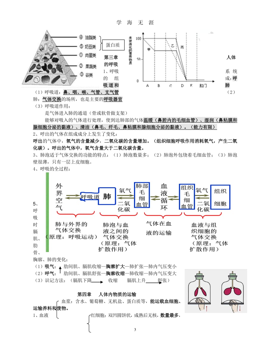 人教版初中七年级下册生物知识点（7月20日）.pdf_第3页