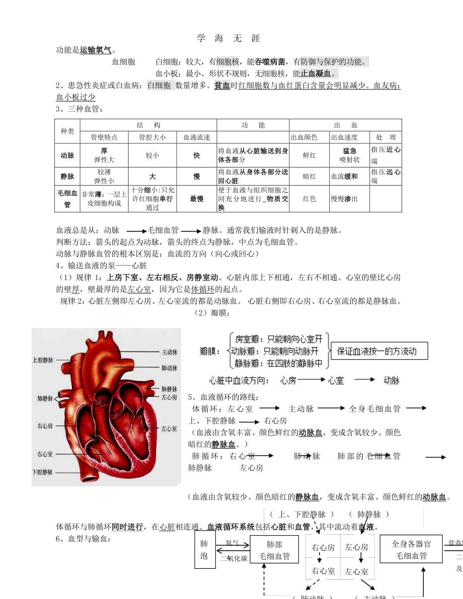 人教版初中七年级下册生物知识点（7月20日）.pdf_第4页