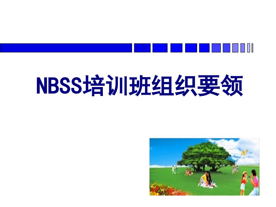 NBSS培训班组织要领30页课件_第1页