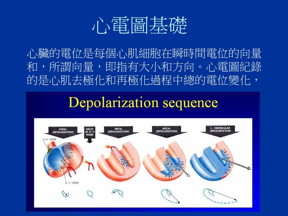 臨床心電圖介紹及異常的醫療處理與照護 臺北醫學大學．萬芳醫院 心臟內科楊弘宇 醫師培训课件_第2页