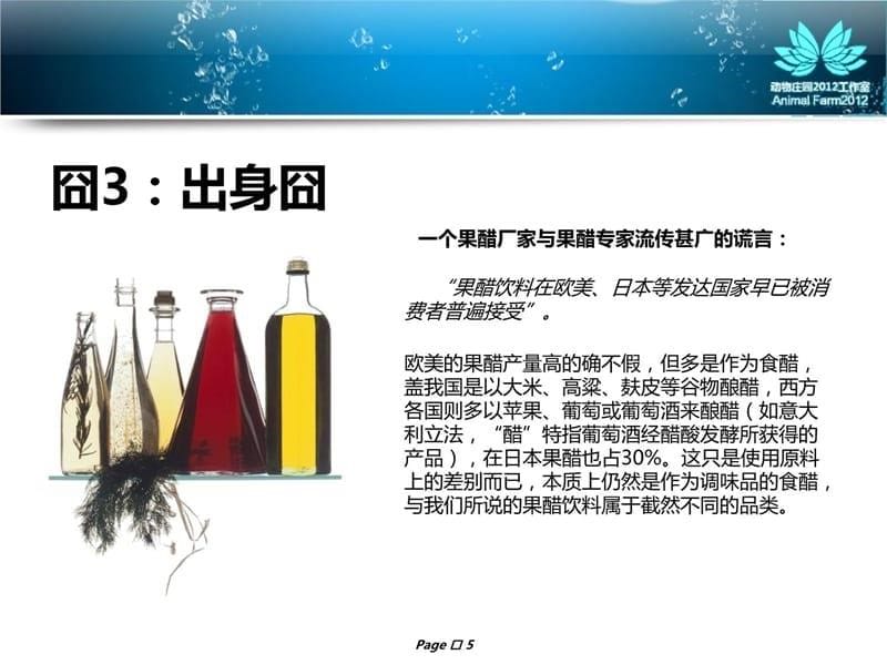 果醋在囧途纯园酿果醋品牌诊断暨上市推广计划教学文案_第5页