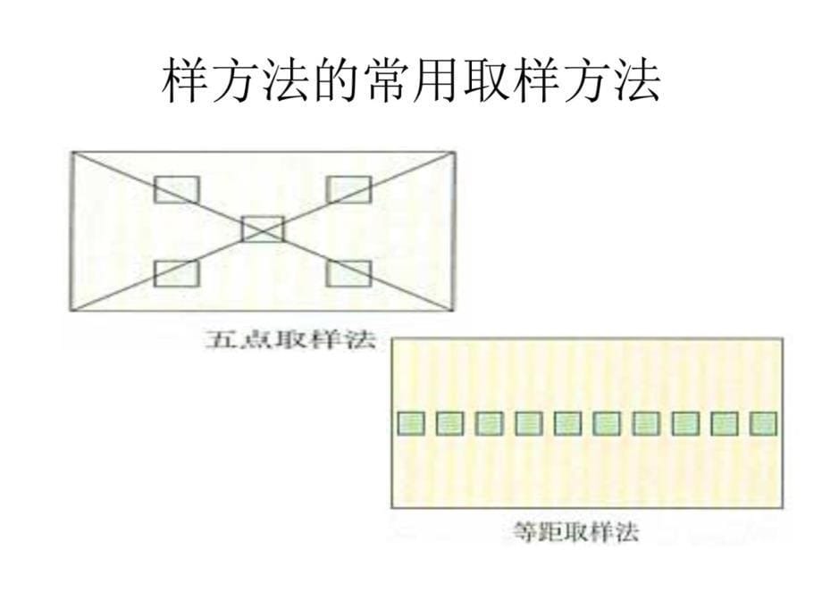 节种群的特征说课讲解_第5页